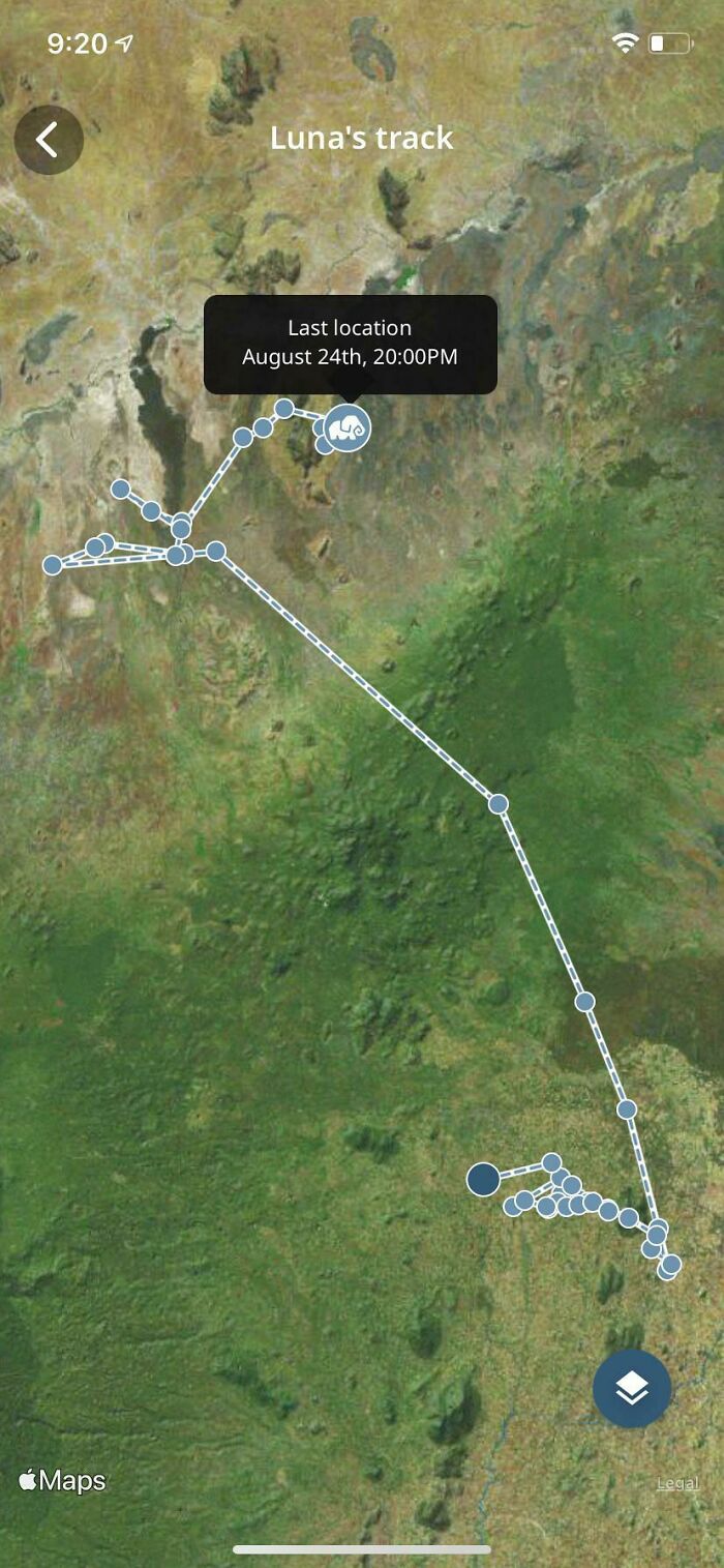 My Aunt “Adopted” An Elephant For Me As A Christmas Present And Her Last Known Location Was Recorded In August. I Can Only Imagine What Happened