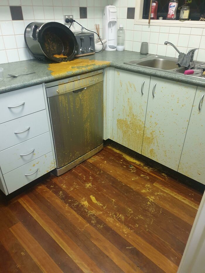 Housemate's Dog Got Into My 6-Hour Butter Chicken. No Dinner For Me Tonight