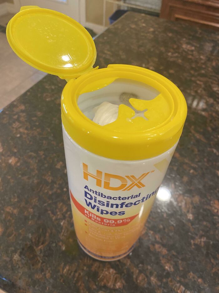 New Antibacterial Wipes From The Store Have Mold Growing In Them
