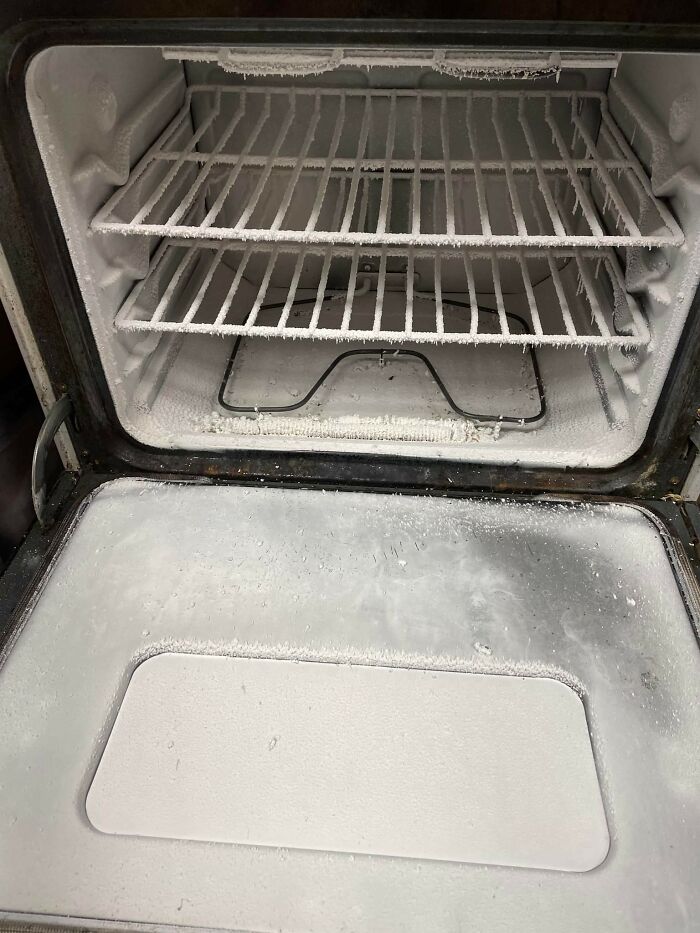 My Mom Set Her Oven On Not Remembering That She Had Silicone Rack Guards In There