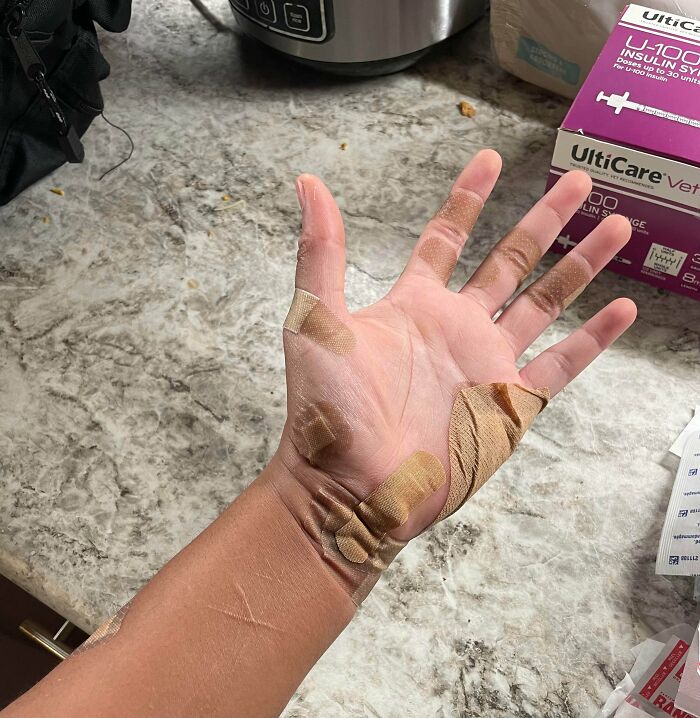 Tuve que cuidar a uno de los perros de mis padres durante un par de días. Mi esposa sólo apartó a uno de los gatos antes de que yo llegara a casa con el perro. Tuve que alejar al segundo gato. Salió... bien