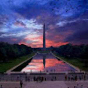 traciefleshman avatar