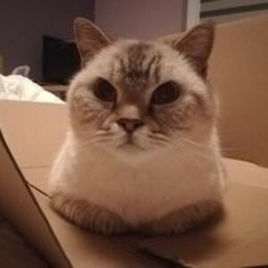 ula_wojciechowska avatar