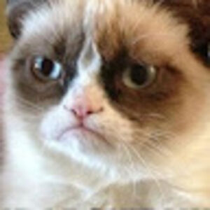 meresabumpass avatar