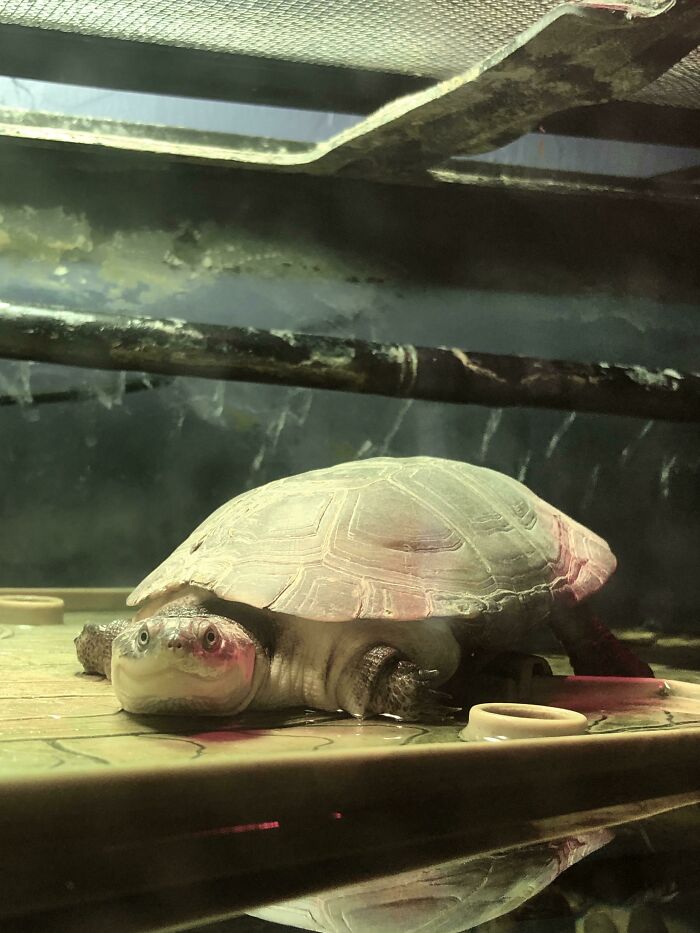 Gotta Warm Up That Bum, Honestly Could She Get Any Cuter??