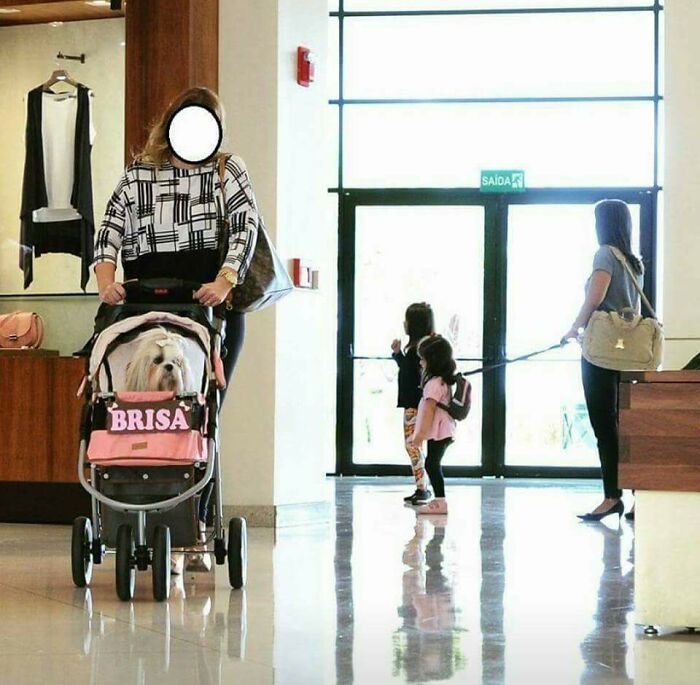 En algún momento las cosas salieron mal