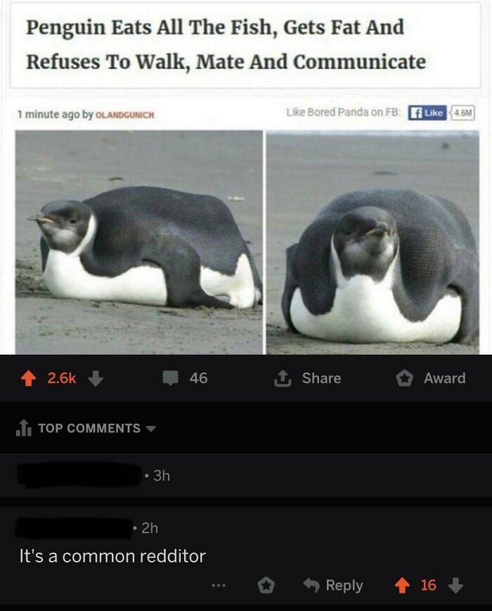 Could Be Any One Of Us