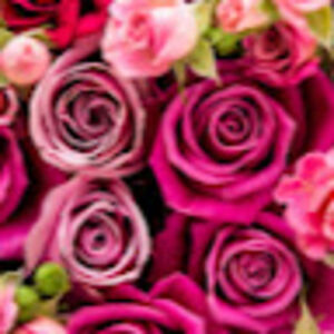 kimberlymejia-zavala avatar