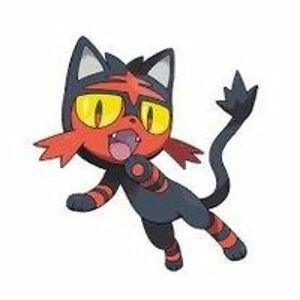 tamsyn_chaffins avatar