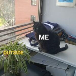 victor_kaesar avatar