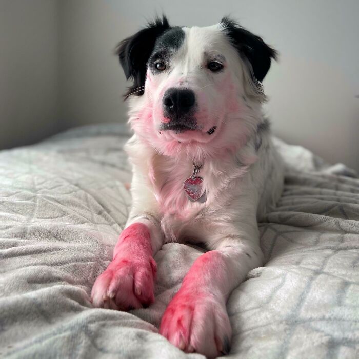 No voy a dar nombres, pero parece que alguien se comió el lápiz de labios de su madre