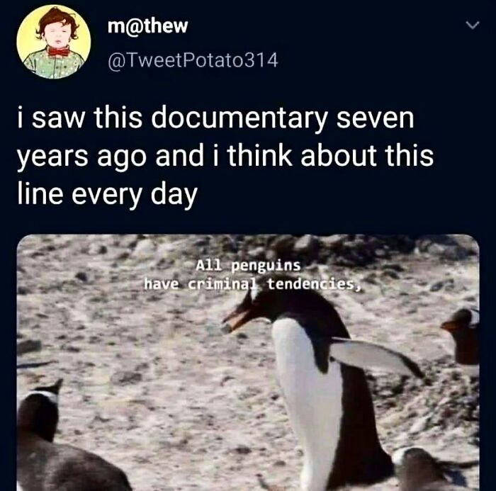 Memestodiscussintherapy