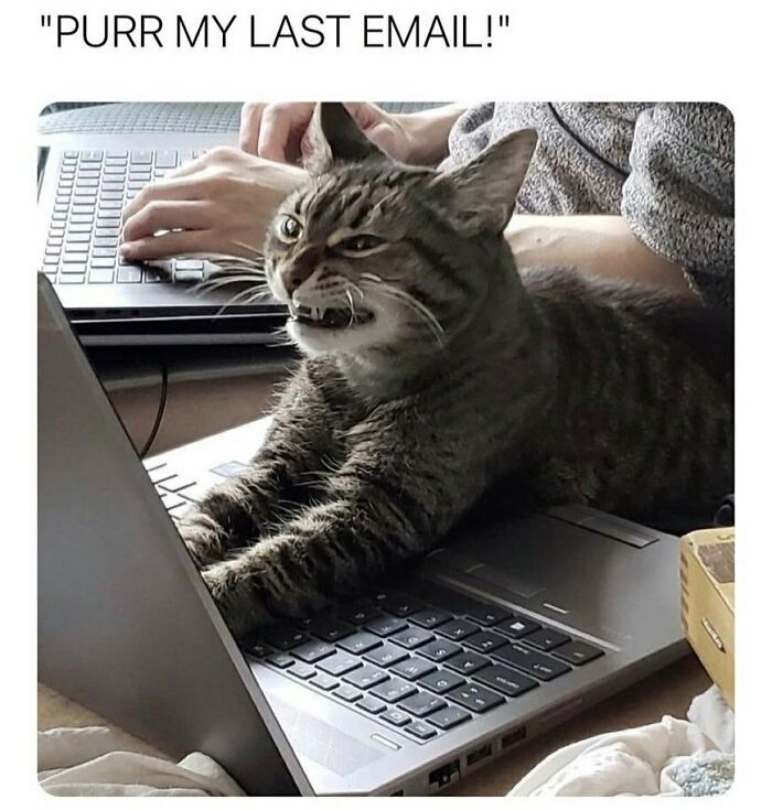 Memestodiscussintherapy