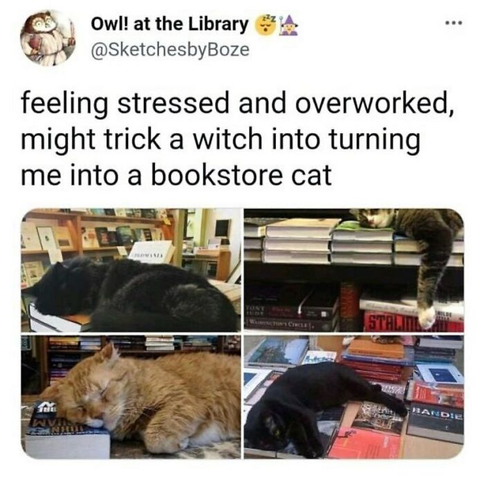 Memestodiscussintherapy