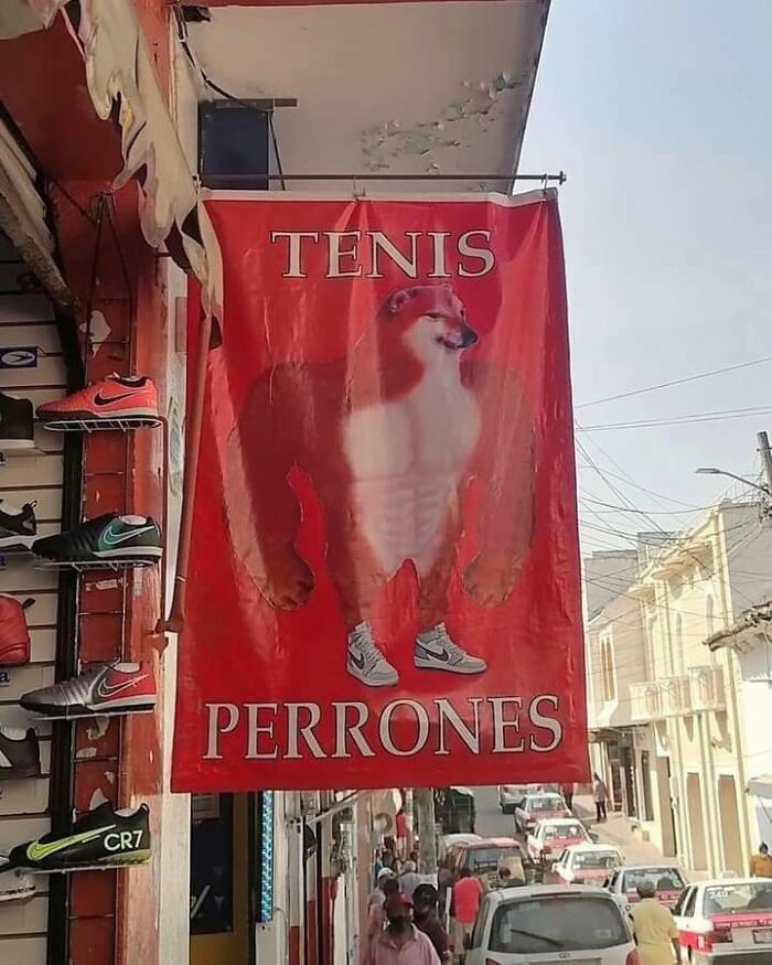 Tenis Perrones (Feliz año nuevo para todos)