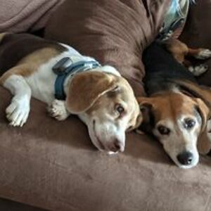 crystalmatthews avatar