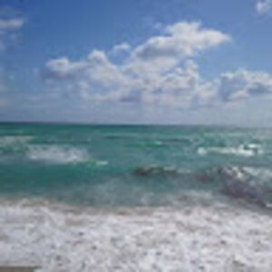 michaelavakian avatar