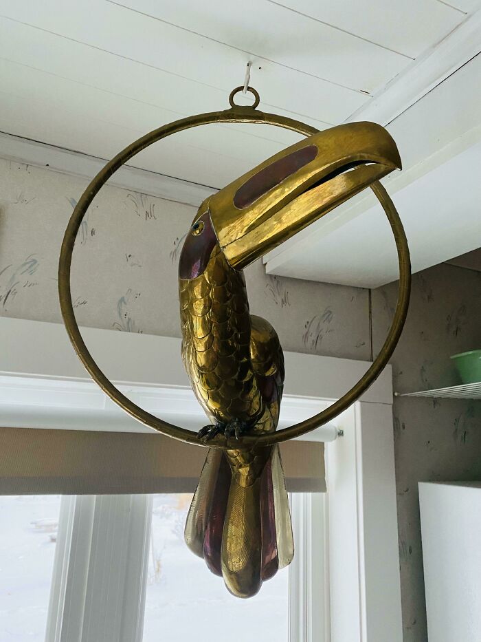 Sergio Bustamonte Toucan. The Thrift Knew What They Had, But Also Supports A Women’s Shelter, So: Everyone Wins