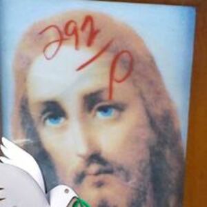 tammilee_truitt avatar