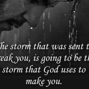 amberdhall222 avatar