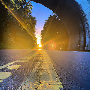 julievelazquez avatar