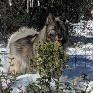 traci_kincaid avatar