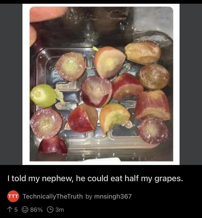 The Dedication Of This Mad Lad Nephew