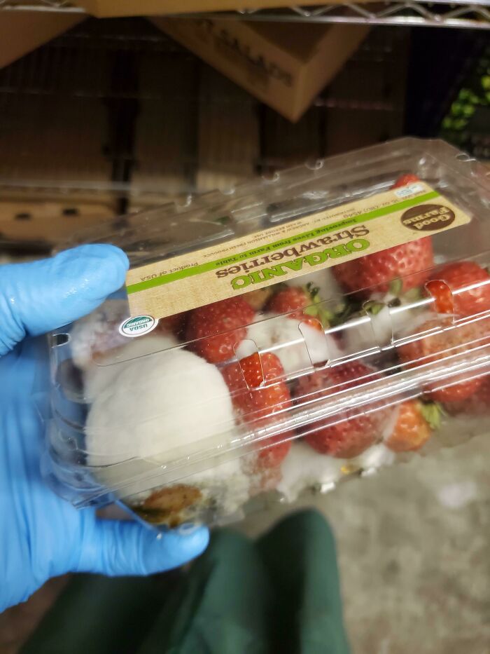 2 Weeks Of Telling My Boss The Produce In The Warehouse Is Going Bad - Him: Don't Worry About It