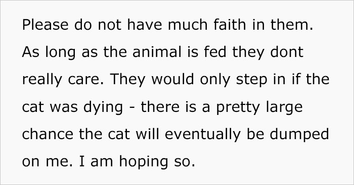 Woman Wanted To Get A Cat And Feed It Vegan Dry Food, Roommate Passes That On To The Shelter Worker And They Decline Her Application