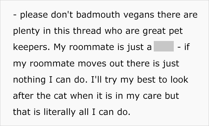 Woman Wanted To Get A Cat And Feed It Vegan Dry Food, Roommate Passes That On To The Shelter Worker And They Decline Her Application