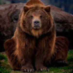 treyfischbach avatar