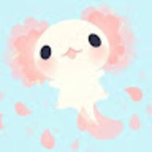 nguyenbaongoc avatar