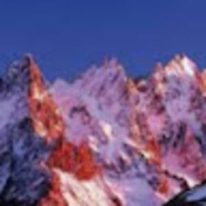 valentinevienne avatar