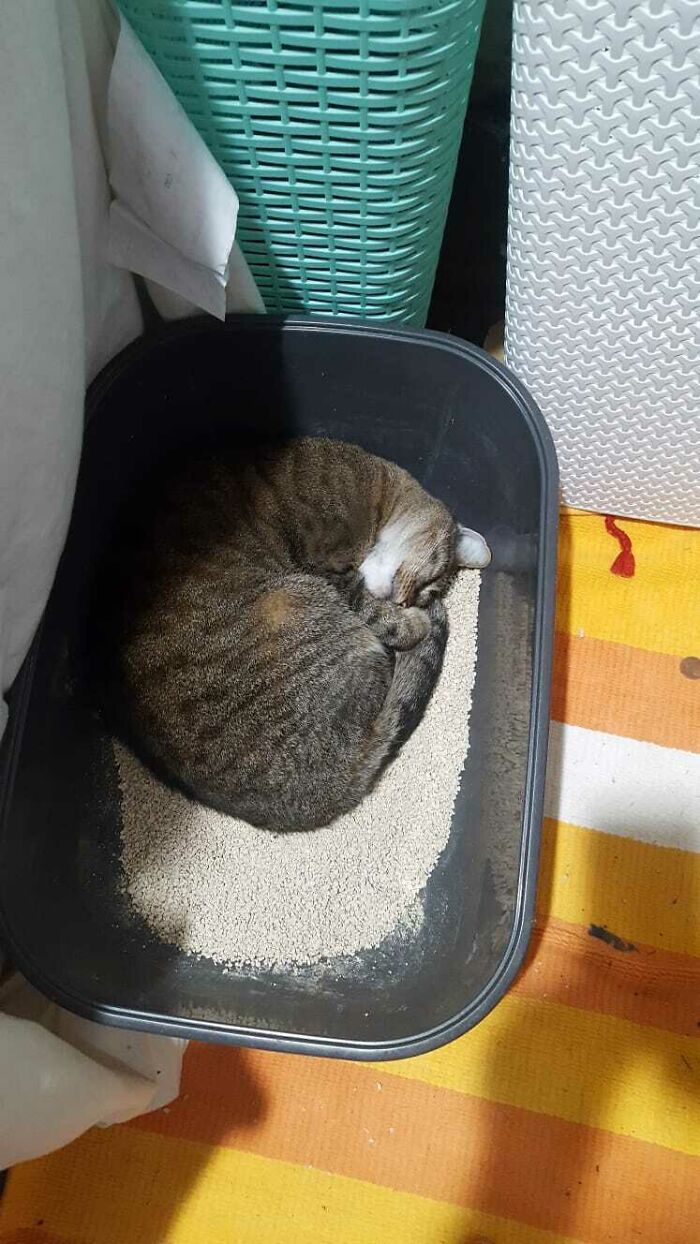 That Isn't What That Is For