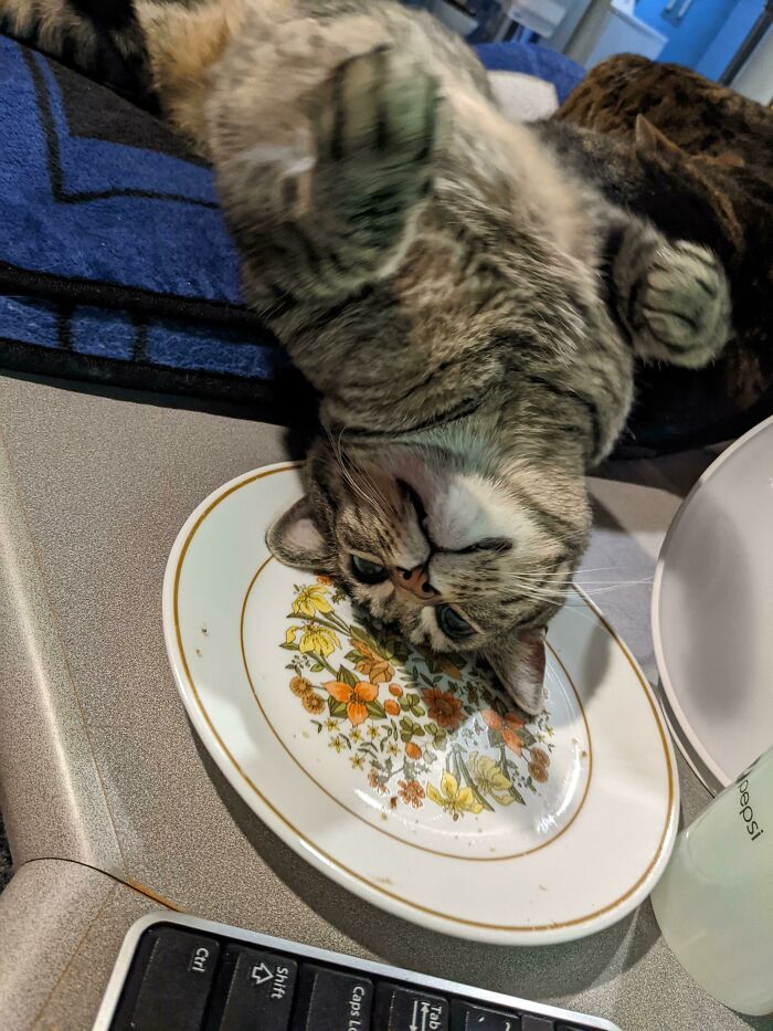 He's Upset That I Didn't Share My Breakfast