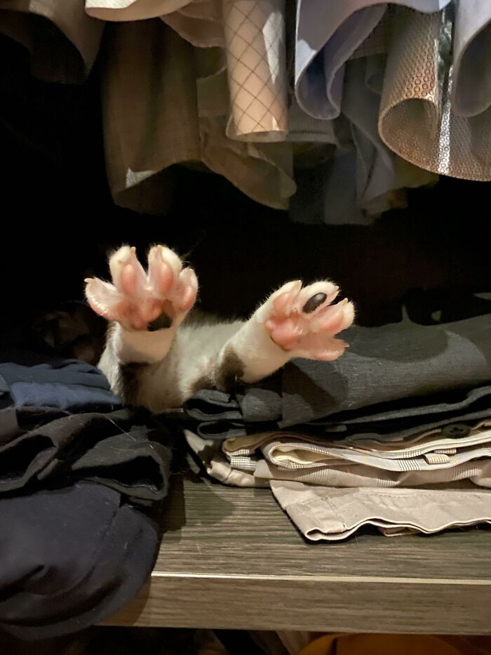 Mishi Is An Inspiration To Us All