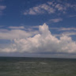 steelmagonolia avatar