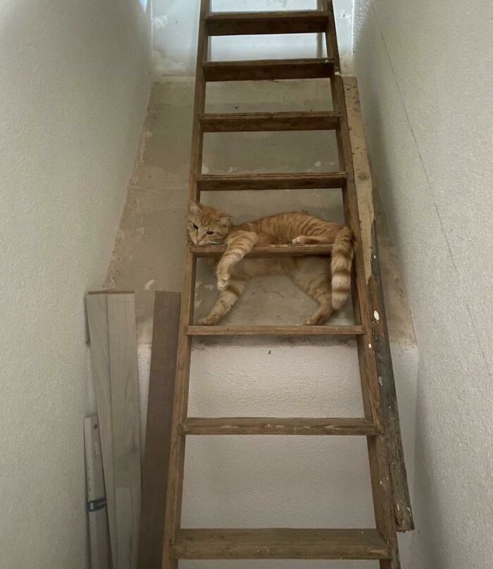 He Always Tries To Flee When My Little Cousins Are Around