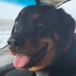 ronanknoopbro avatar