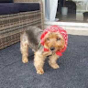 jordanashleyostas avatar