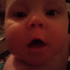 birbchickabirbbirb avatar