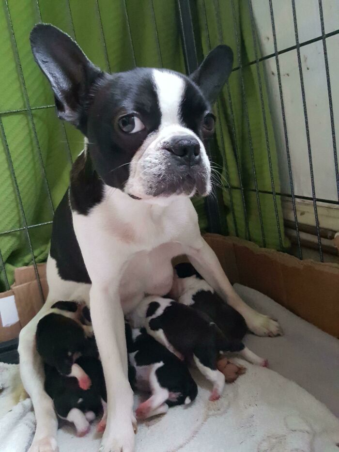 The Look Of Parenthood