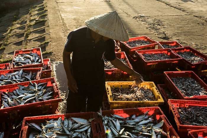 Passionate About Vietnam, Photographer Captures The True “Soul” Of His People In Their Daily Lives (New Pics)