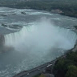 sandrahenry_1 avatar