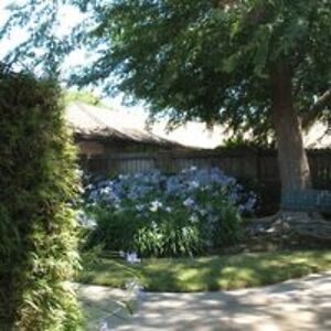 swainbonnie168 avatar