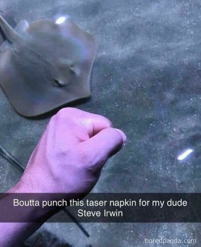 Taser Napkin