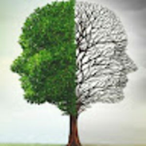 veronicamasiello avatar