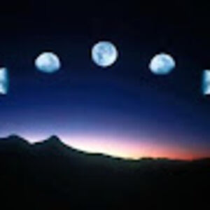 elizabethcustodio avatar