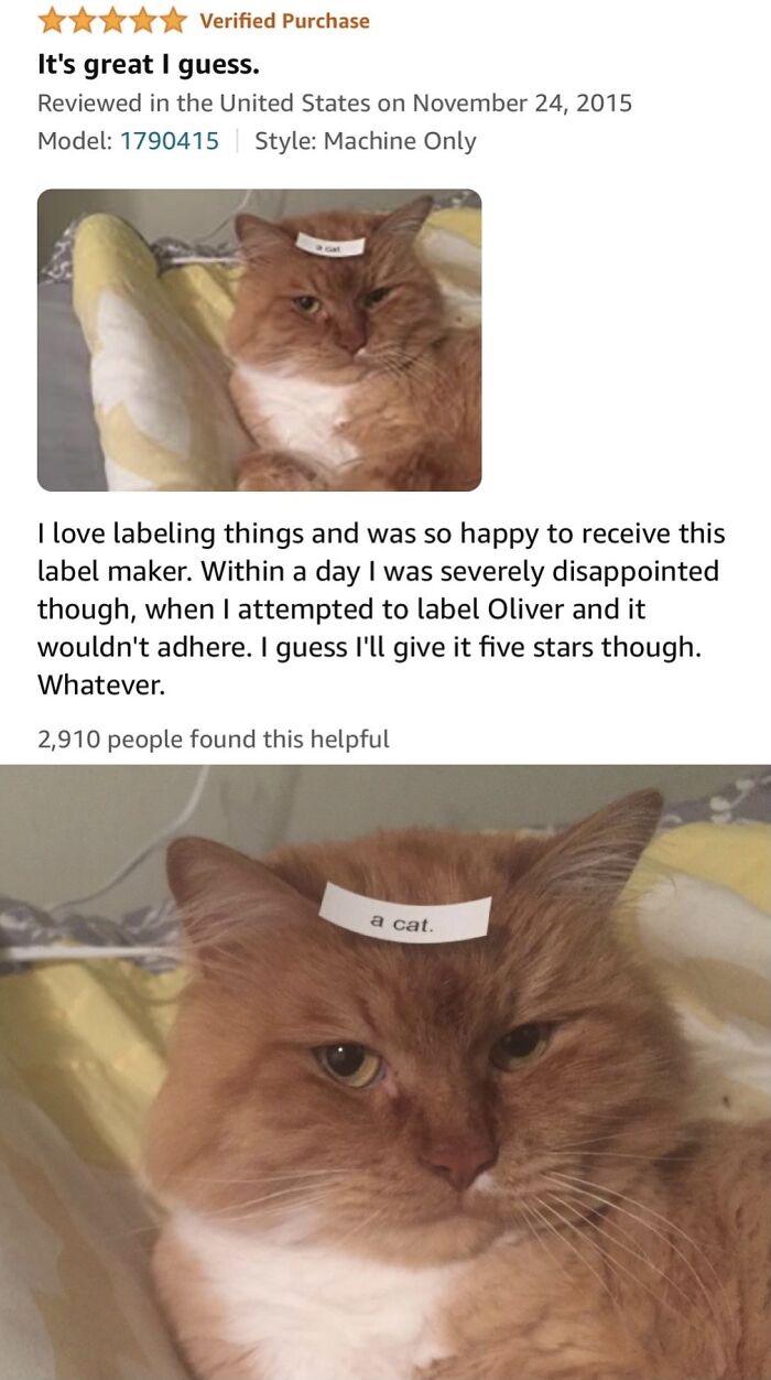 Honestly, I Did Plan To Label My Cat So This Review I Found Is Very Helpful