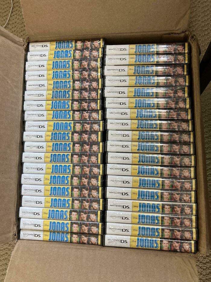 Ordered 100 "Empty" Nintendo DS Cases And Got 100 Copies Of Jonas